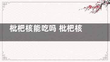 枇杷核能吃吗 枇杷核能不能吃(枇杷核可以直接吃吗)